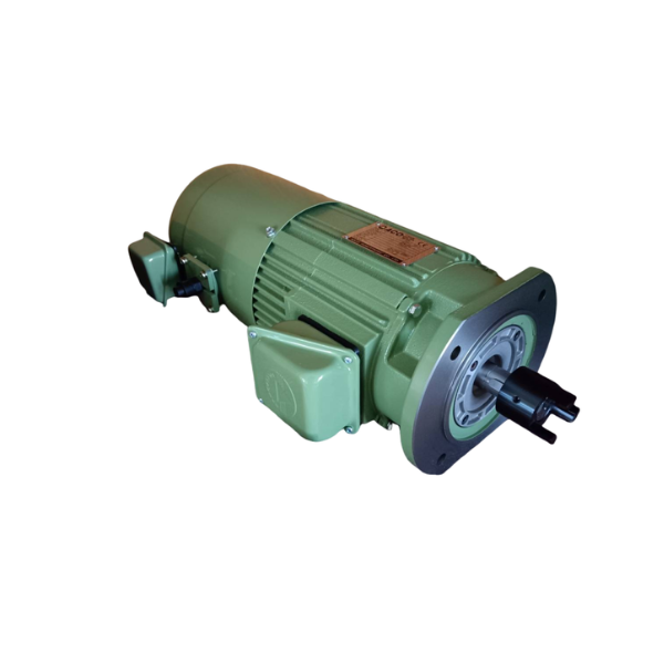 Inverter duty motor