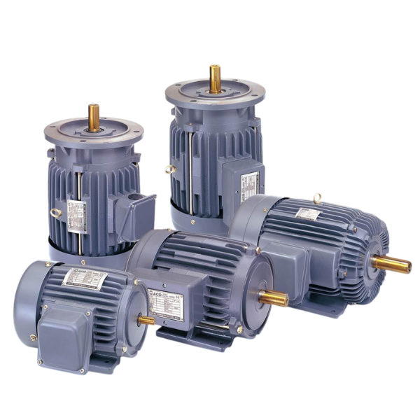 Induction Motor