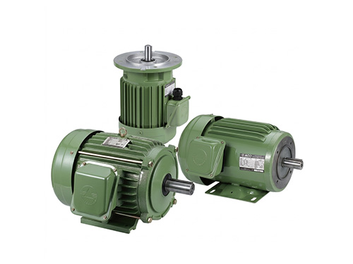 AC Induction IEC Motor