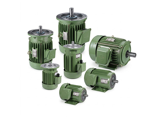 IE3 V3 Induction Motor