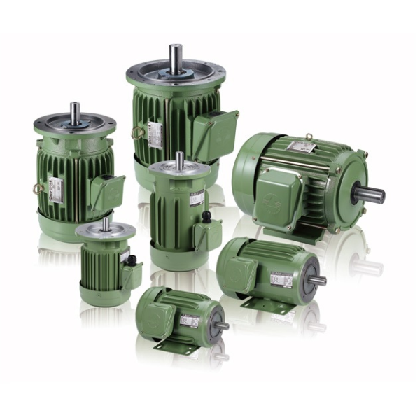 IE3 V3 Induction Motor