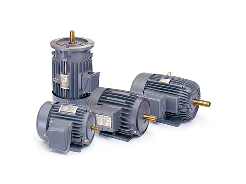 Inverter Duty Motor