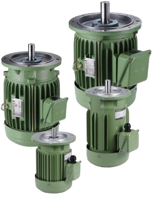 IE3 V3 Induction Motor - Flange Mounted