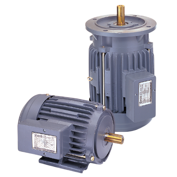 Inverter duty motor