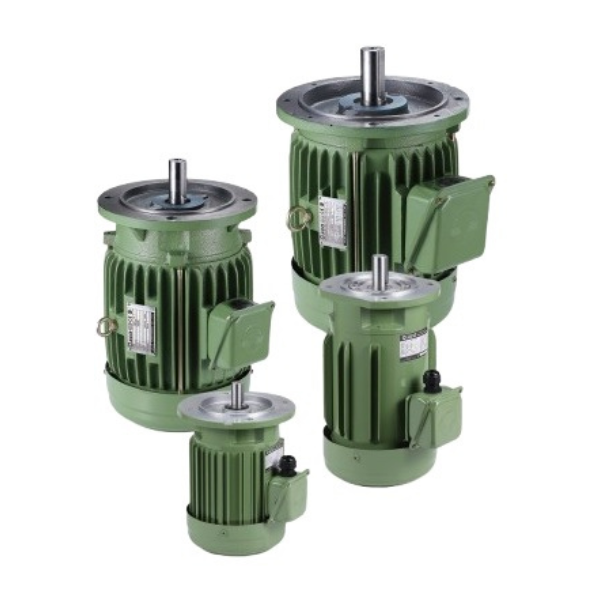 IE3 V3 Induction Motor - Flange Mounted